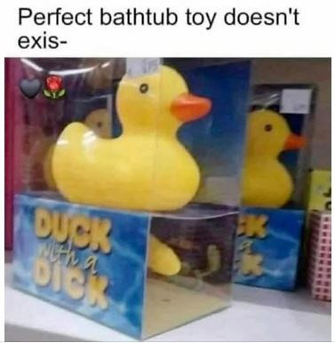 duck