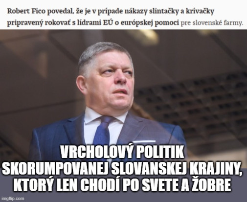Príspevok 219297